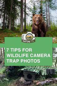 Learn How To Take Better Photos Of Animals With A Wildlife Camera Trap Camera Trap W Wildlife Photography Tips Outdoor Photography Tips Take Better Photos