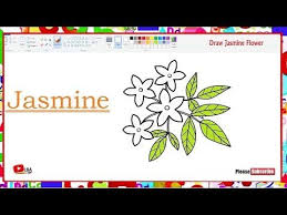 Jasmine Flower Drawing Learnbyart Youtube Flower Drawing Jasmine Flower Flowers