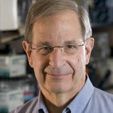 iMeta Science -- Integrated meta-omics change the understanding of biology  and environment