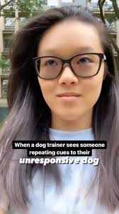 If your dog still won’t sit after asking them 10 times and frantically  waving your hands in their face, what makes you think they’d respond the  11th time? An adult dog has the mental capacity of a 2.5 ...