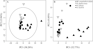 If you want to sell on amazon, then you have to understand what an asin is and how they're used. Application Of 1h Nmr Metabolomic Profiling For Reef Building Corals