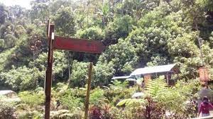 Ane mau nanya nih gan cara ngebuat npwp gimana ya gan? Panah Arah Di Lokasi Coban Siuk Picture Of Coban Siuk Malang Tripadvisor