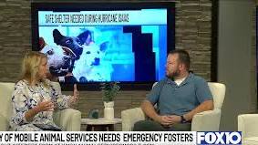 City of Mobile Animal Services needs emergency fosters ahead of Isaias by WALA Staff on Fox 10 News