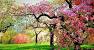 Ultra Hd 4k Nature Wallpaper