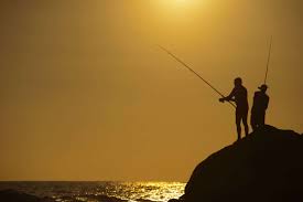 Comment Pecher Le Brochet Salon De La Peche