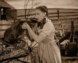 Maybe you would like to learn more about one of these? The Wizard Of Oz 1939 Oz Wiki Fandom