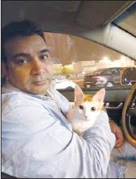 A saviour for homeless cats