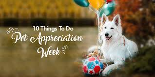 Compare the best prices, big discount coupons! Pet Supplies Buy Cheap Dog And Cat Supplies Pet Products Online With Free Shipping Canadavetexpress Com