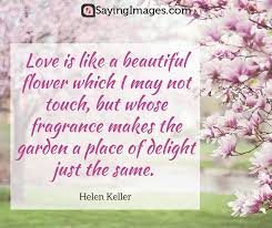 Beautiful flowers wallpapers with quotes on wallpaperget. Quotes About Love Like A Flower Hover Me