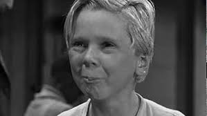 The Champ (1931) NEW DVD