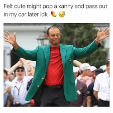 Pin By Feeling Cute Idk On Feeling Cute Idk Memes Feelings Memes Late Meme