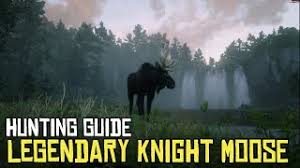 This will be highlighted with a crown, signifying that it is the apex of the species you can find on the map. All Lost Jewelry Locations Cycle 4 For Madam Nazar Collection Red Dead Online Rdr2 Ø¯ÛŒØ¯Ø¦Ùˆ Dideo