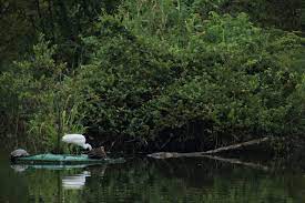 世間に抱く関心は 必ず自己中心の善悪による関心である 信国 淳 写真 善悪 抱く