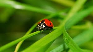 �������� �� ������� ����� �������