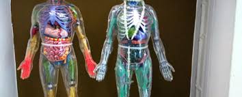 We did not find results for: Anatomical Position Essentials Of Anatomy And Physiology