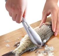 Fish Scaler Brush Fish Scaler Remover with Stainless Steel Sawtooth Easily  Remove Fish Scales-Cleaning Brush Scraper Kitchen Tool