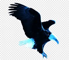 Antique imperial russian doublers headed eagle porcelain statue, early to mid 1800s. Palace Of Fontainebleau Napoleon I On His Imperial Throne Aigle Paradiso Eagle Golden Eagle Statue Golden Frame Animals Building Png Pngwing