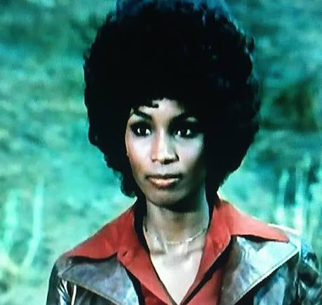 The Horn Section: Television Review: GET CHRISTIE LOVE!: "Highway to  Murder" (1974)