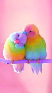 Images & pictures of birds bird wallpaper download 2791 photos. Kawaii Birds Wallpapers Wallpaper Cave
