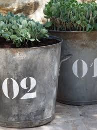 Pin On Gardening Landscaping