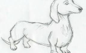 Come disegnare per ottenere un'illusione ottica è facile, con questo tutorial faremo un disegno realistico, puoi fare un'illusione. Tumblr Disegni Facili