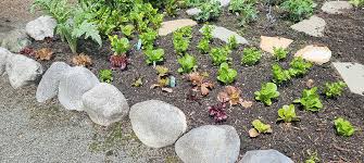 Maybe you would like to learn more about one of these? A Growing Concern Get Your Garden Summer Ready Peninsula Daily News