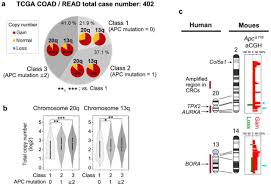 We have produced a short video guide to aid doctors. Apc Mutant Cells Exploit Compensatory Chromosome Alterations To Restore Tumour Cell Fitness Biorxiv