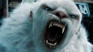 Its one of those cameras for takeing pictures of wild life, hunters use them to confirm if animals will take certain baits, they do make motion. Was It A Yeti Bigfoot Hair Dna Reveals Monsters True Identity