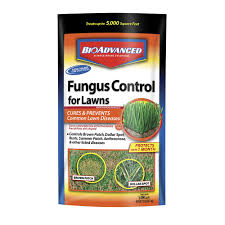 Bioadvanced Fungus Control For Lawns Canada Bioadvanced 701230a Fungus Control For L Buy Online In Canada At Desertcart