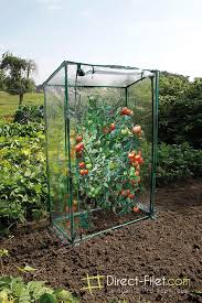 Serre Transparente Pour Cultures Grimpantes En 2020 Maison Verte Cadres Froids Serre Jardin