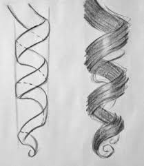 How To Draw Curly Hair Results Of An Online Search How To Draw Hair Sketches Curly Hair Styles