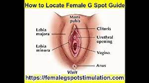 G Spot HD Porn Search - Xvidzz.com