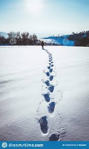 Man Walking In Snow Footprints Stock Illustration - Illustration of  pathway, imprint: 161613112