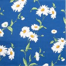 Unatoč tome što je poljsko cvijeće, mnogi ju rado uzgajaju u svojim vrtovima, bilo za ukras, bilo za rezano. Perlica Eu Trgovina