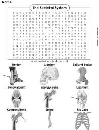 Showing 8 worksheets for skeletal system crossword puzzle. Science Spot Teaching Resources Tes