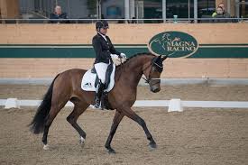 Create your family tree and invite relatives to share. Racino Dressage Classics 2019 Weltcupfinalsiegerin Isabell Werth Das Deutsche Weltmeisterteam Kommen Niederosterreichischer Pferdesportverband