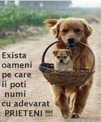 Prietenul La Nevoie Se Cunoaste Home Facebook