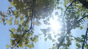 Children of nobody (2018) korean drama. Children Of Nobody Asianwiki