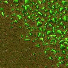 Deposits of this type are found in australia, france, czech republic, germany and zaire. Uranium Ore Factorio Wiki