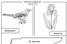 You might also be interested in coloring pages from minnesota category. Mr Nussbaum North Carolina State Symbols