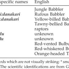 Dugaan tersebut semakin diperkuat dengan adanya dua tagar lagu dari red velvet serta unggahan tentang irene dan seulgi yang dihapus oleh kook hwa. Pdf Solega Ethno Ornithology