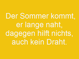 200 Dumme Sprüche Zum Lachen Whatsapp Status Sprüche