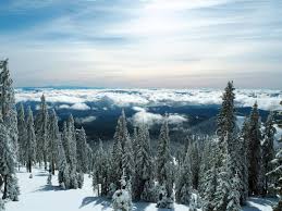 Winter Is Coming. Put California Resort Mt. Shasta Ski Park (AND an Indy  Pass) on Your List | Indy Pass