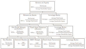 understanding the profitability ratio return on equity