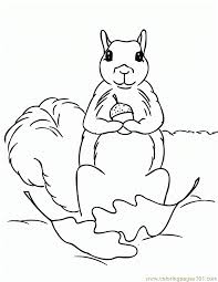 These creatures can often be seen running around in gardens and feeding on nuts and small fruits. Coloring Pages Of Squirrels Coloring Home