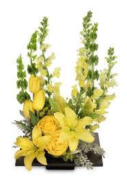 We are a local albany florist for sending flowers, plants and gifts. Albany Florist Albany Ny Flower Shop Ambiance Florals Events