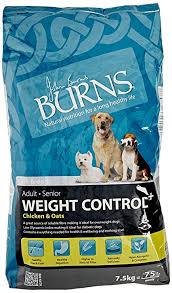 Both types of diabetes can be managed by giving your dog a proper diet. Top 10 Best Diabetic Dog Food Brands Diet Tips Faq S Recipes