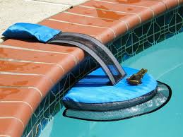 Keep frogs out of your pool by installing a frog fence along the bottom of your pool fence. Froglog Froglog Keep Frogs And Other Animals Out Of Your Swimming Pool