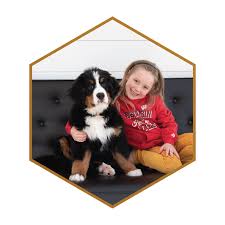 Bernese mountain dog breeders wi. Our Breeding Team Stokeshire Designer Doodles