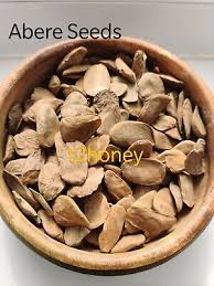 Image result for Hunteria umbellata